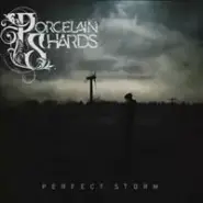 Perfect Storm cover