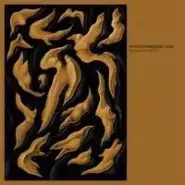 Mitochondrial Bodies cover