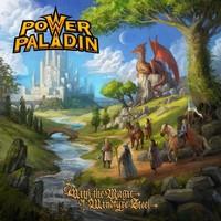 Power Paladin With cover