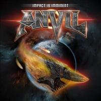 anvil impact cover