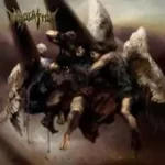 immolation acts of cover