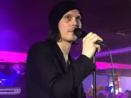 ville valo
