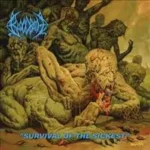 bloodbath survival of the cover