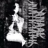 anaal nathrakh total fucking cover