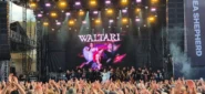 waltari brutal assault 2026